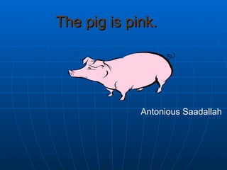 The pig is pink.   Antonious Saadallah  