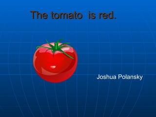 The tomato  is red.   Joshua Polansky  