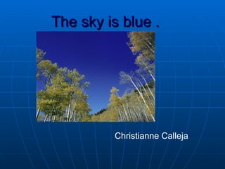 The sky is blue .   Christianne Calleja 