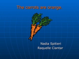 The carrots are orange. . Nadia Spitieri Raquelle Ciantar   
