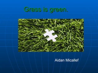 Grass is green.   Aidan Micallef  