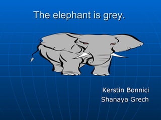 The elephant is grey.  Kerstin Bonnici  Shanaya Grech   