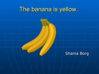The banana is yellow.   . Shania Borg   