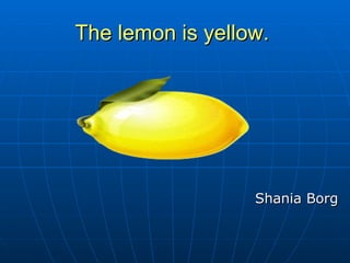 The lemon is yellow.   Shania Borg   
