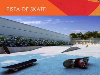 PISTA DE SKATE 