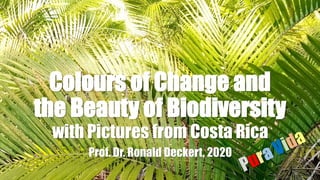 Colours of Change and
the Beauty of Biodiversity
with Pictures from Costa Rica
Prof. Dr. Ronald Deckert, 2020
 