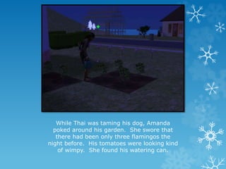 While Thai was taming his dog, Amanda
poked around his garden. She swore that
there had been only three flamingos the
night before. His tomatoes were looking kind
of wimpy. She found his watering can.
 