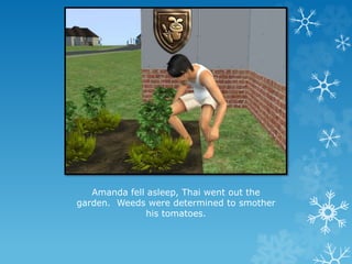 Amanda fell asleep, Thai went out the
garden. Weeds were determined to smother
his tomatoes.
 