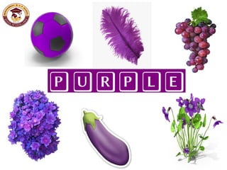 PURPLE
 