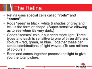 The Retina Retina uses special cells called  “rods”  and  “cones” . Rods “sees” in black, white & shades of grey and tell us the form or shape. (Super-sensitive allowing us to see when it's very dark.) Cones “senses” colour but need more light. Three types and each is sensitive to one of three different colours - red, green, or blue. Together these can sense combinations of light waves. (To see millions of colours.) Rods and cones together process the light to give you the total picture. 