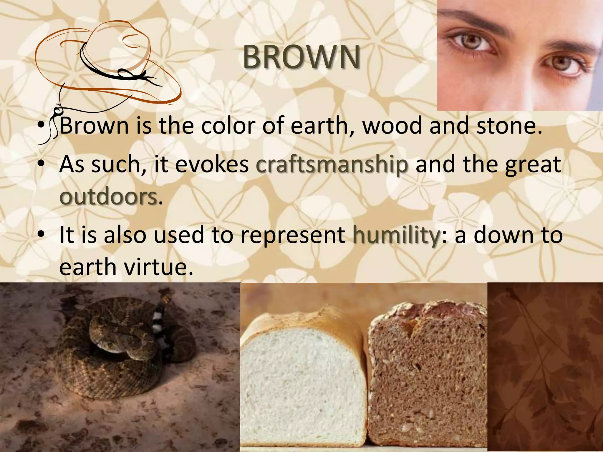 BROWN
• Brown is the color of earth, wood and stone.
• As such, it evokes craftsmanship and the great
outdoors.
• It is also used to represent humility: a down to
earth virtue.
 