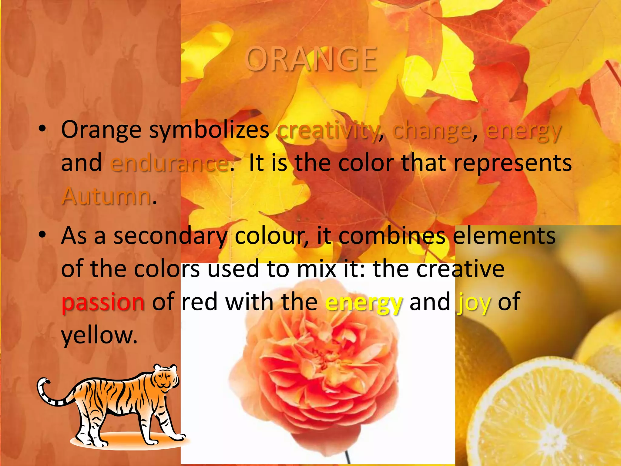 ORANGE
• Orange symbolizes creativity, change, energy
and endurance. It is the color that represents
Autumn.
• As a secondary colour, it combines elements
of the colors used to mix it: the creative
passion of red with the energy and joy of
yellow.
 
