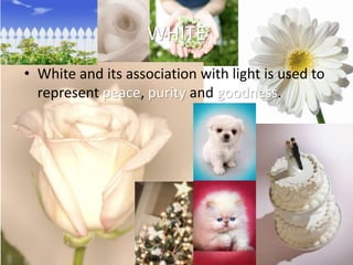 WHITE
• White and its association with light is used to
represent peace, purity and goodness.
 