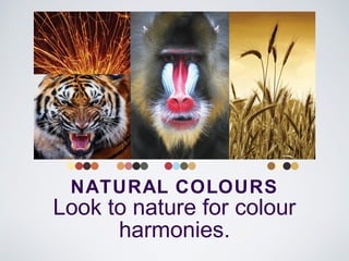NATURAL COLOURS
Look to nature for colour
harmonies.
 