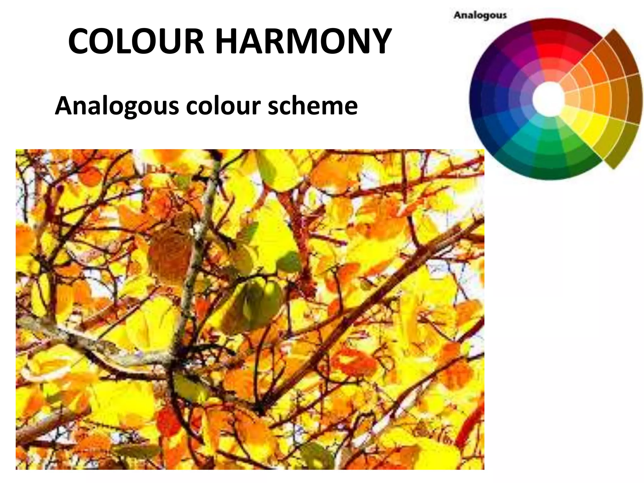 Analogous colour scheme
COLOUR HARMONY
 