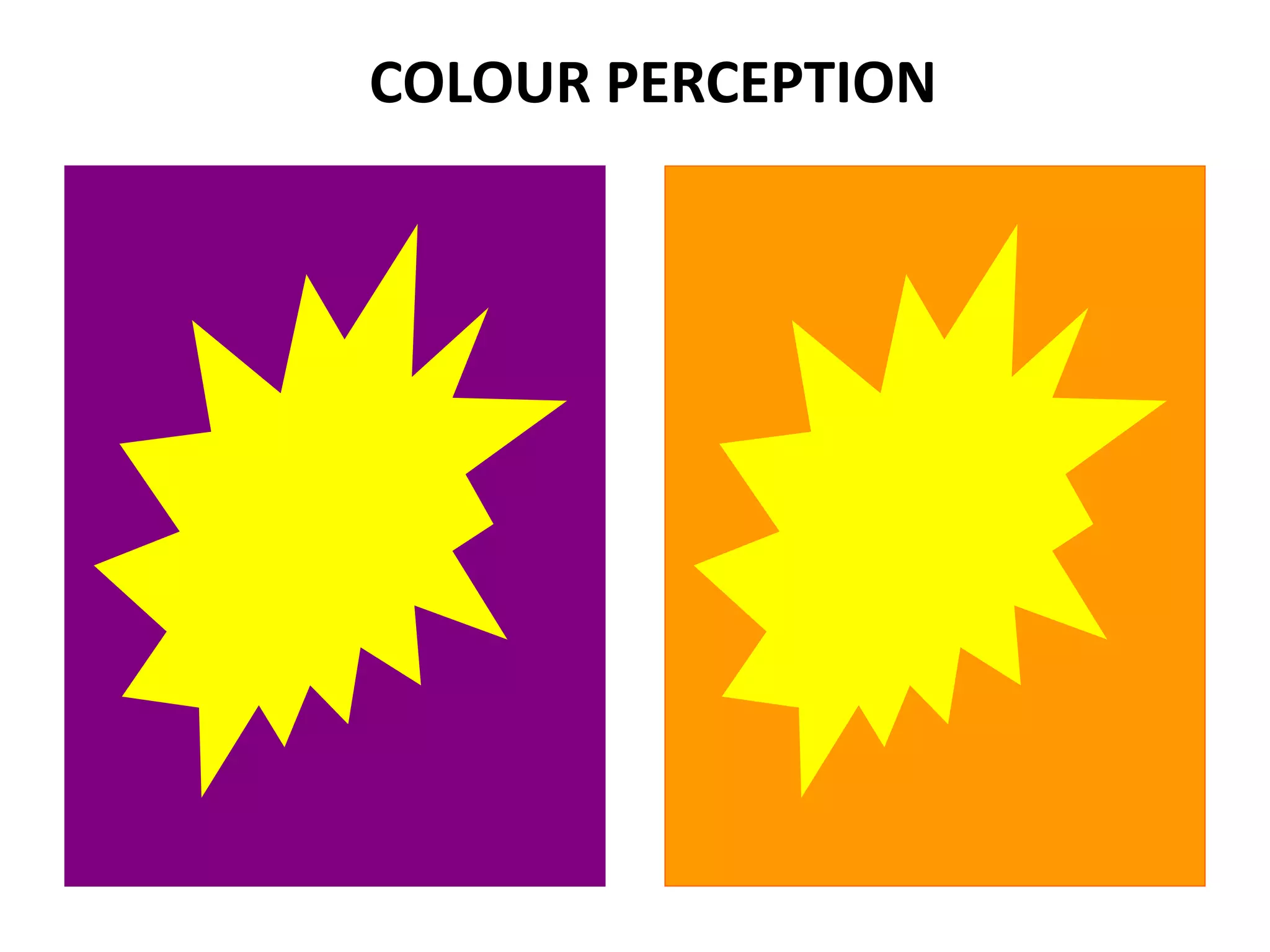 COLOUR PERCEPTION
 