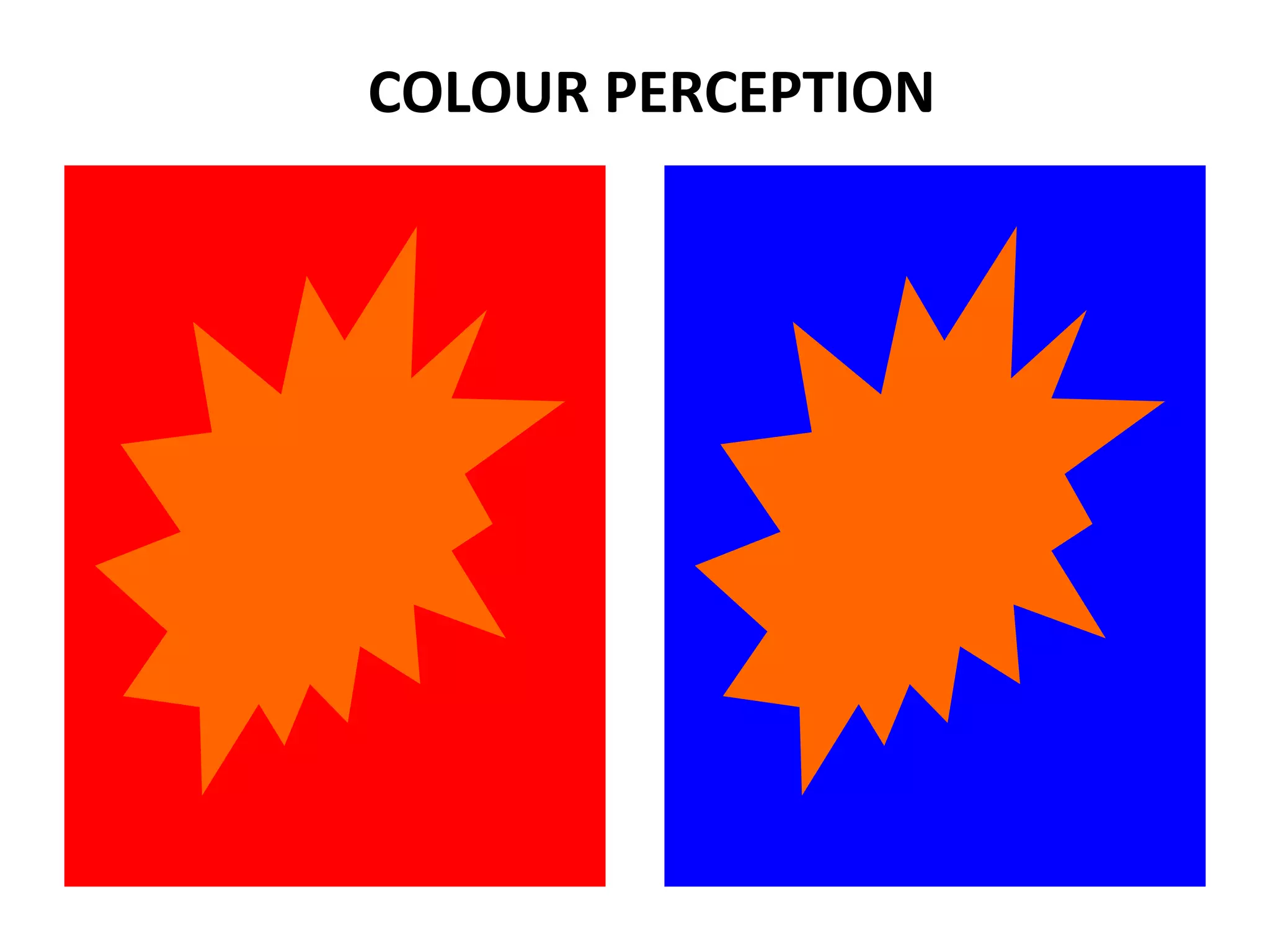 COLOUR PERCEPTION
 