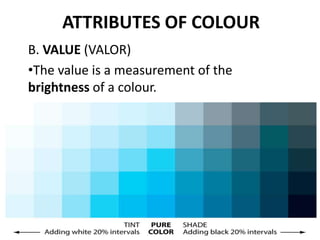 ATTRIBUTES OF COLOUR
B. VALUE (VALOR)
•The value is a measurement of the
brightness of a colour.
 