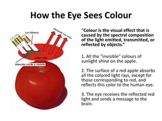 How the Eye Sees Colour
"Colour is the visual effect that is
caused by the spectral composition
of the light emitted, transmitted, or
reflected by objects.“
1. All the "invisible" colours of
sunlight shine on the apple.
2. The surface of a red apple absorbs
all the colored light rays, except for
those corresponding to red, and
reflects this color to the human eye.
3. The eye receives the reflected red
light and sends a message to the
brain.
 