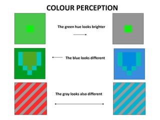 COLOUR PERCEPTION
The green hue looks brighter
The blue looks different
The gray looks also different
 