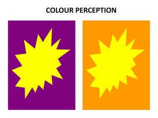 COLOUR PERCEPTION
 