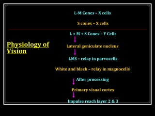 Physiology of
Vision
L-M Cones – X cells
S cones – X cells
L + M + S Cones – Y Cells
Lateral geniculate nucleus
LMS – relay in parvocells
White and black – relay in magnocells
After processing
Primary visual cortex
Impulse reach layer 2 & 3
 