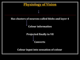 Physiology of Vision
Has clusters of neurons called blobs and layer 4
Colour information
Projected finally to V8
Converts
Colour input into sensation of colour
 