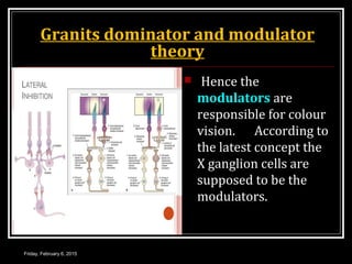 Granits dominator and modulator
theory
 Hence the
modulators are
responsible for colour
vision. According to
the latest concept the
X ganglion cells are
supposed to be the
modulators.
Friday, February 6, 2015
 