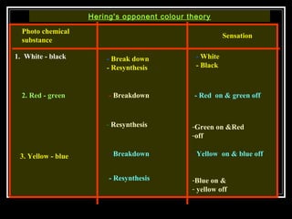 Photo chemical
substance
Hering's opponent colour theory
Sensation
1. White - black - Break down
- Resynthesis
- White
- Black
2. Red - green - Breakdown
- Resynthesis
- Red on & green off
-Green on &Red
-off
3. Yellow - blue - Breakdown
- Resynthesis
- Yellow on & blue off
-Blue on &
- yellow off
 