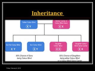 Inheritance
Friday, February 6, 2015
 