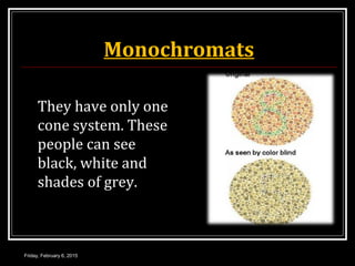 Monochromats
They have only one
cone system. These
people can see
black, white and
shades of grey.
Friday, February 6, 2015
 
