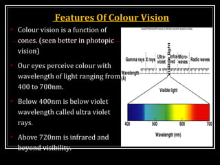 Features Of Colour Vision
 Colour vision is a function of
cones. (seen better in photopic
vision)
 Our eyes perceive colour with
wavelength of light ranging from
400 to 700nm.
 Below 400nm is below violet
wavelength called ultra violet
rays.
 Above 720nm is infrared and
beyond visibility.
 