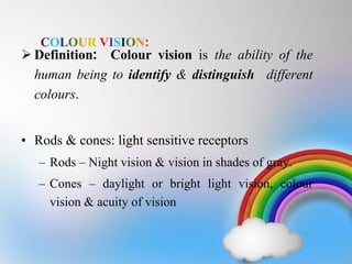 Colour vision | PPTX
