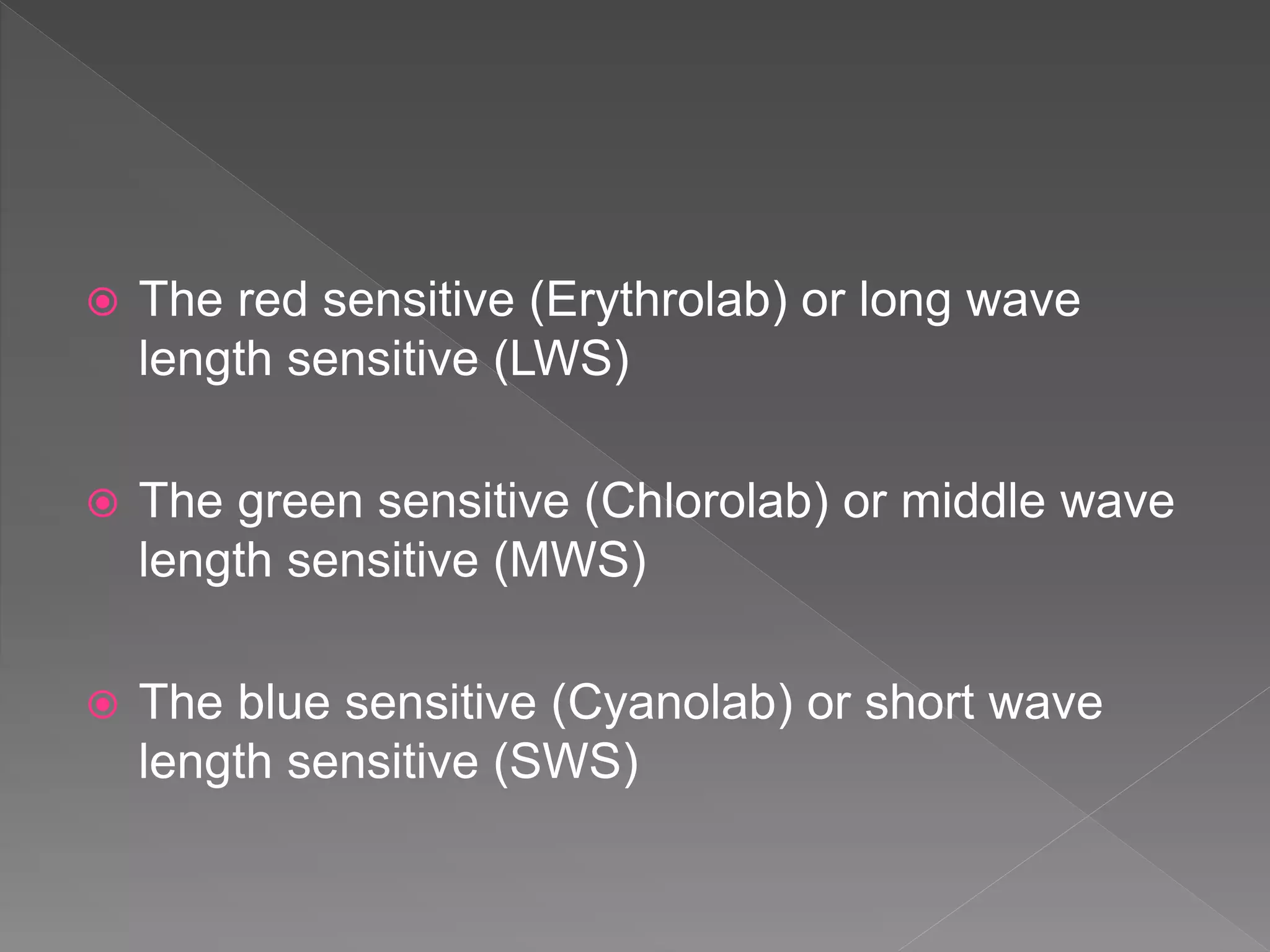  The red sensitive (Erythrolab) or long wave
length sensitive (LWS)
 The green sensitive (Chlorolab) or middle wave
length sensitive (MWS)
 The blue sensitive (Cyanolab) or short wave
length sensitive (SWS)
 