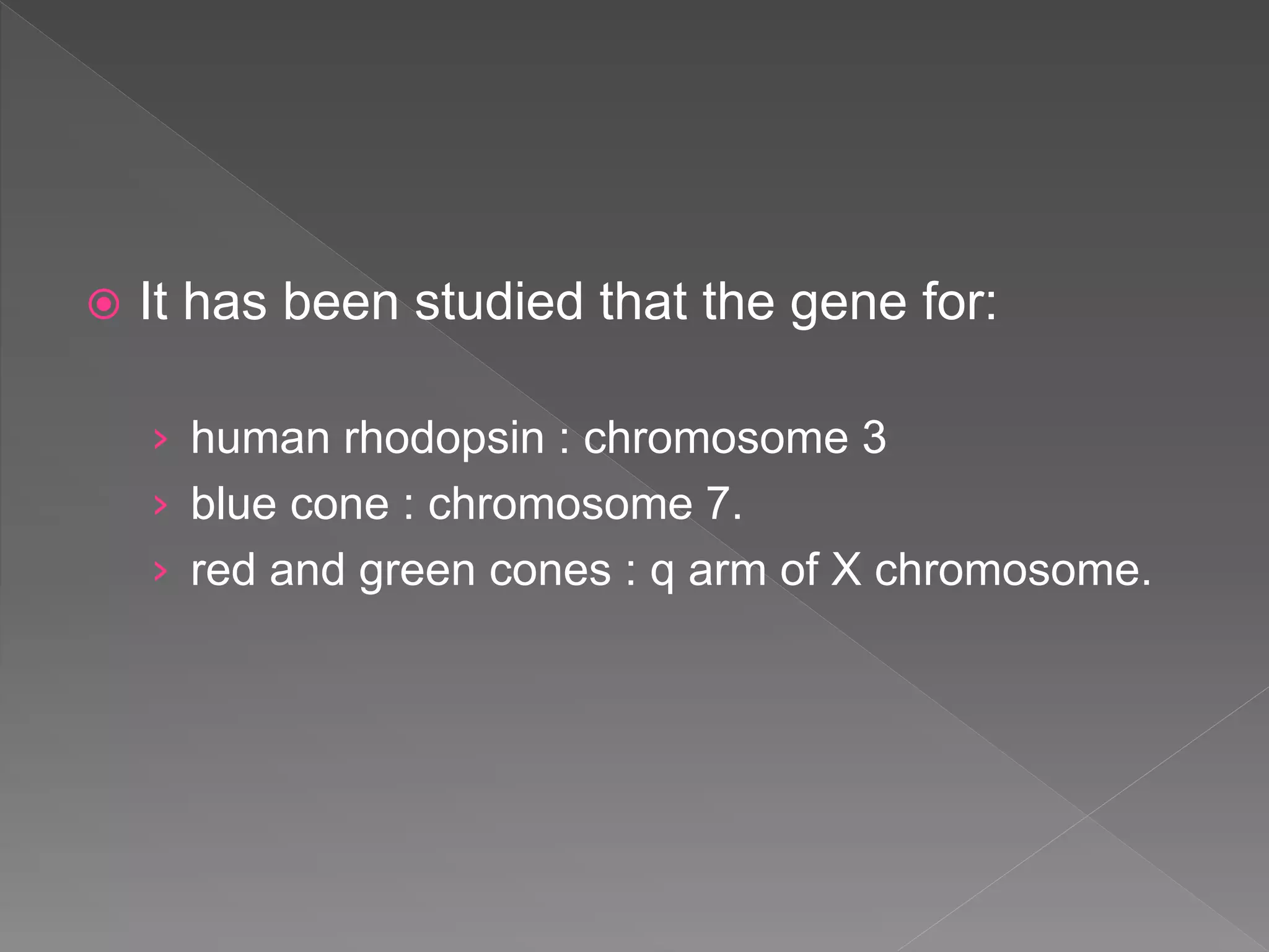  It has been studied that the gene for:
› human rhodopsin : chromosome 3
› blue cone : chromosome 7.
› red and green cones : q arm of X chromosome.
 