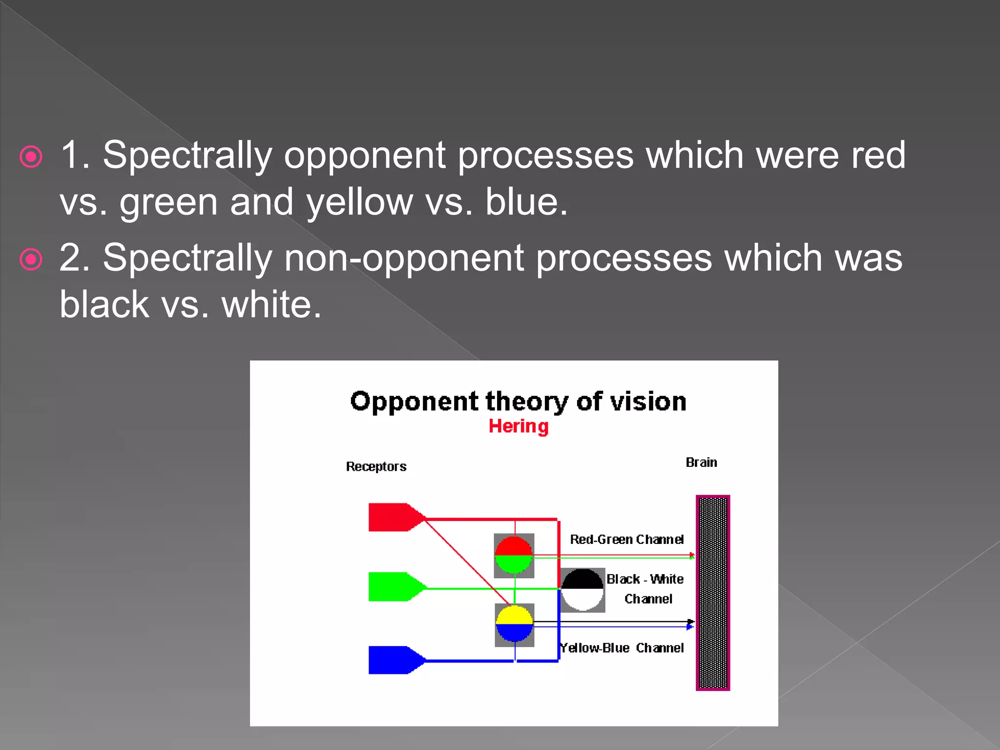  1. Spectrally opponent processes which were red
vs. green and yellow vs. blue.
 2. Spectrally non-opponent processes which was
black vs. white.
 