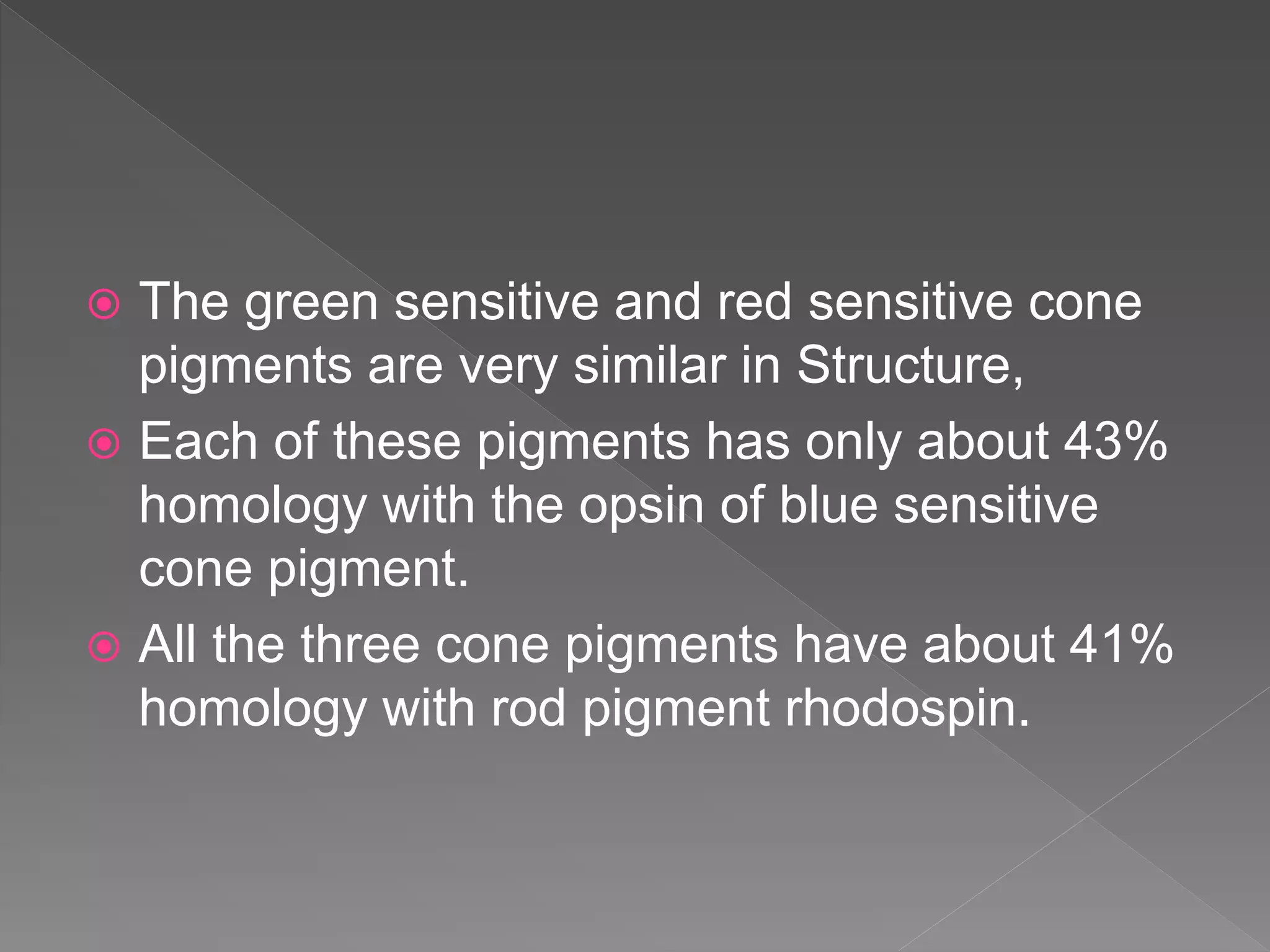  The green sensitive and red sensitive cone
pigments are very similar in Structure,
 Each of these pigments has only about 43%
homology with the opsin of blue sensitive
cone pigment.
 All the three cone pigments have about 41%
homology with rod pigment rhodospin.
 