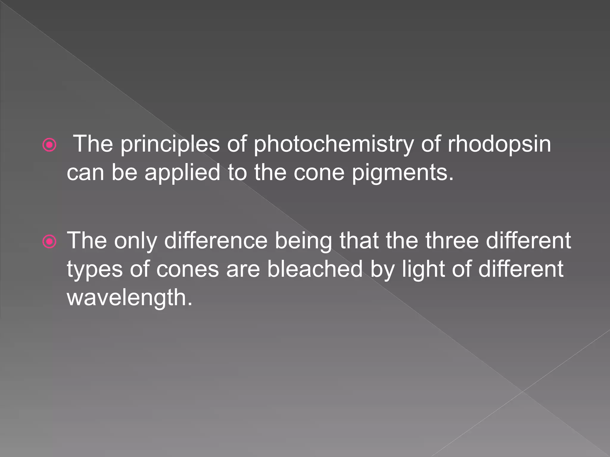  The principles of photochemistry of rhodopsin
can be applied to the cone pigments.
 The only difference being that the three different
types of cones are bleached by light of different
wavelength.
 
