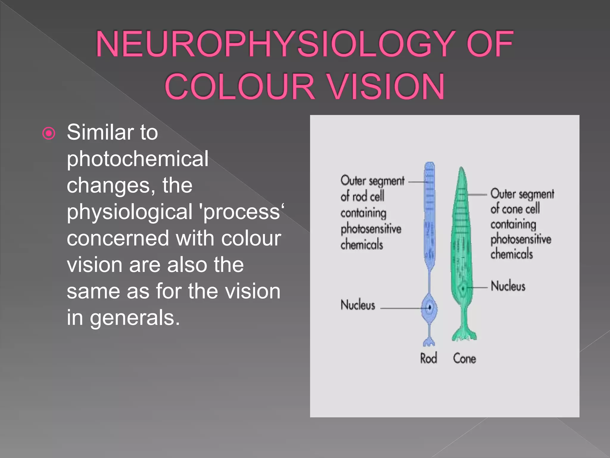  Similar to
photochemical
changes, the
physiological 'process‘
concerned with colour
vision are also the
same as for the vision
in generals.
 