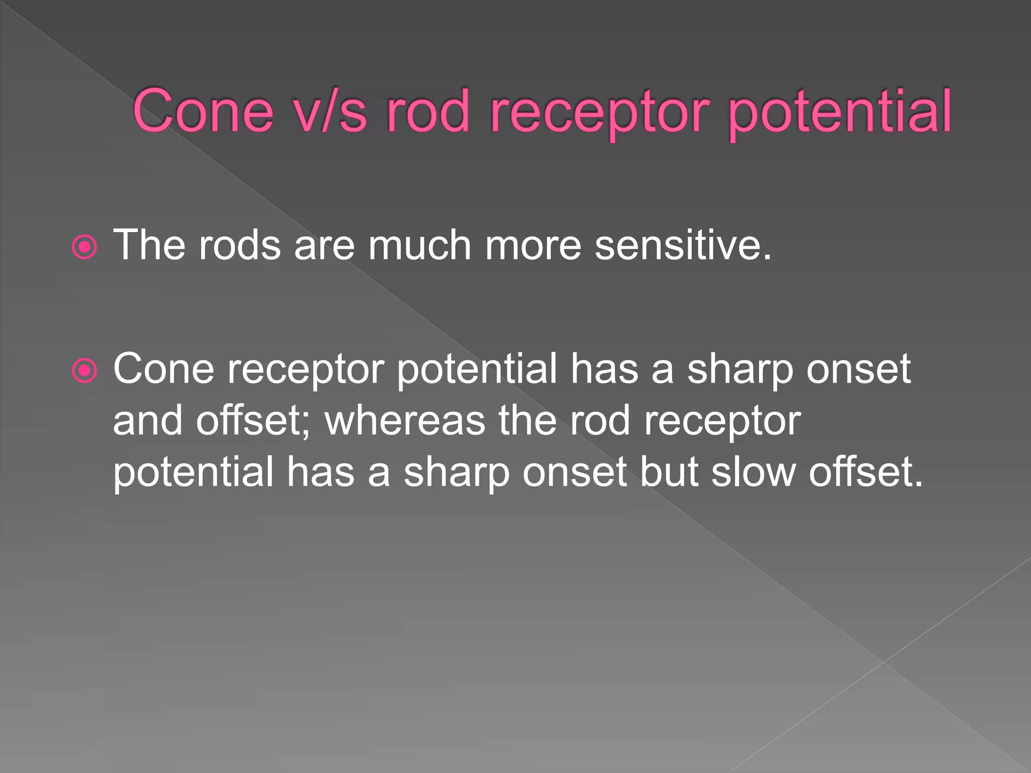  The rods are much more sensitive.
 Cone receptor potential has a sharp onset
and offset; whereas the rod receptor
potential has a sharp onset but slow offset.
 