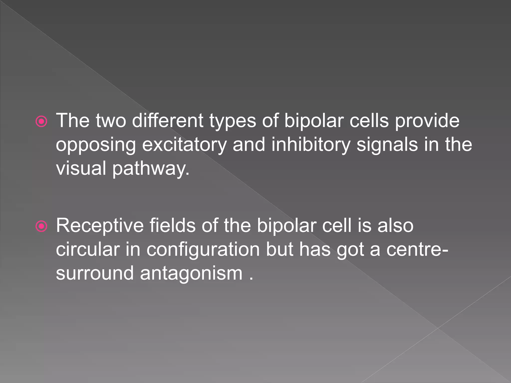  The two different types of bipolar cells provide
opposing excitatory and inhibitory signals in the
visual pathway.
 Receptive fields of the bipolar cell is also
circular in configuration but has got a centre-
surround antagonism .
 