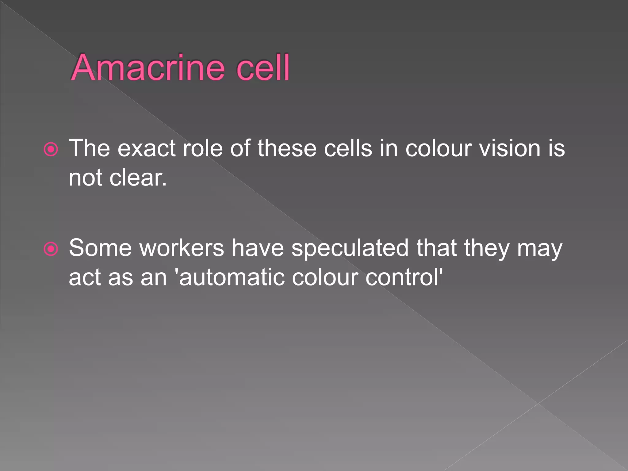  The exact role of these cells in colour vision is
not clear.
 Some workers have speculated that they may
act as an 'automatic colour control'
 