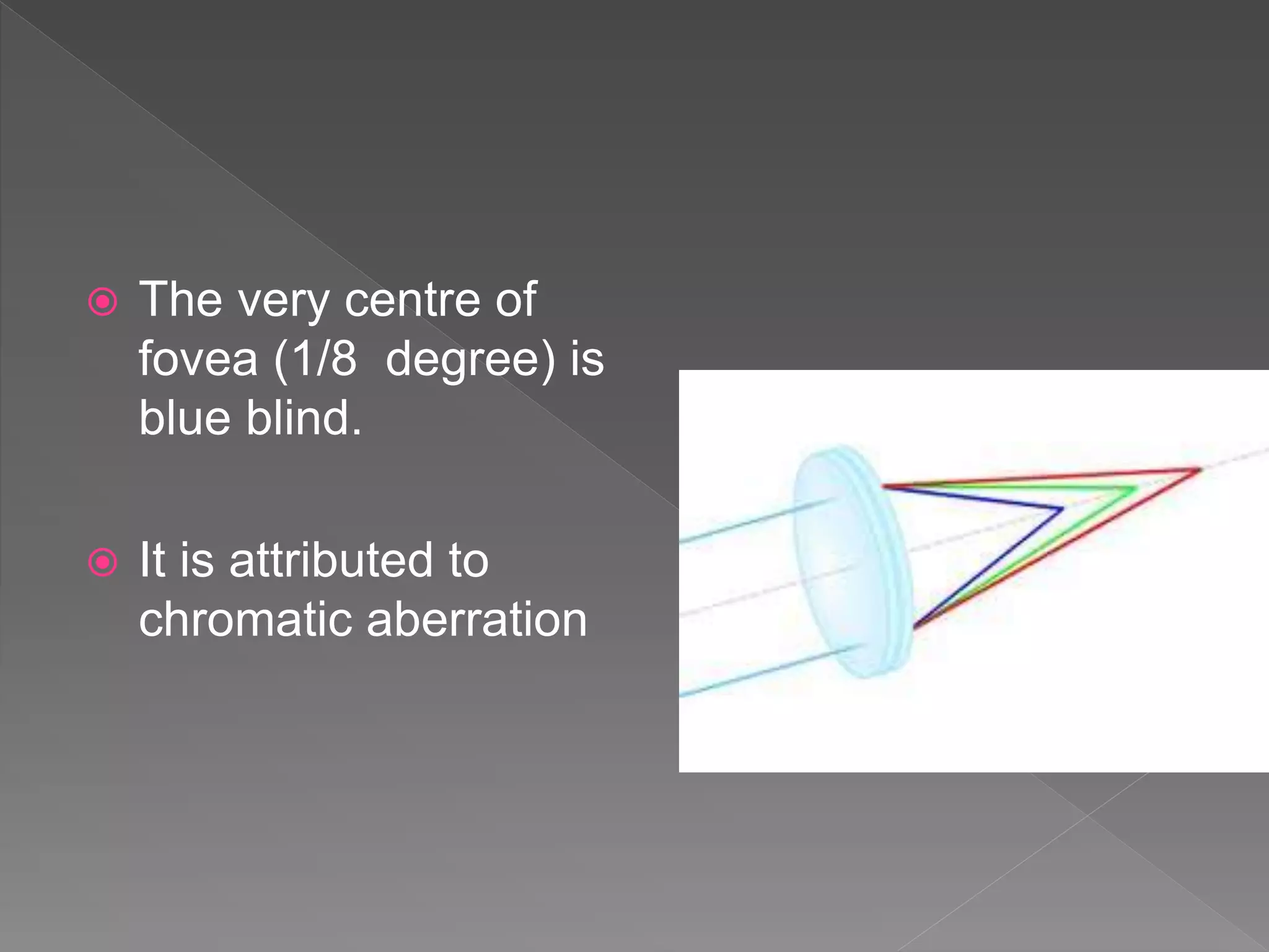  The very centre of
fovea (1/8 degree) is
blue blind.
 It is attributed to
chromatic aberration
 
