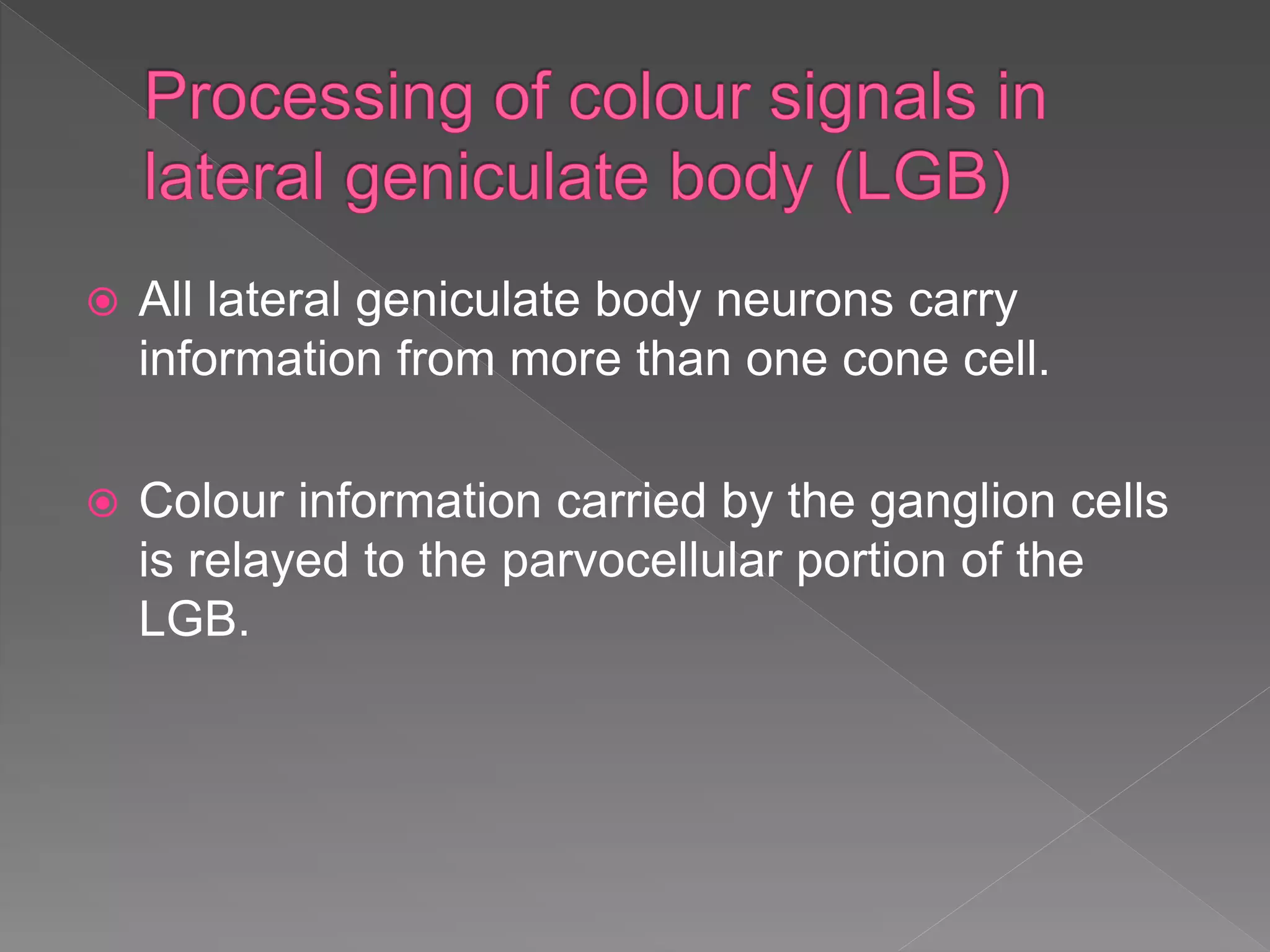  All lateral geniculate body neurons carry
information from more than one cone cell.
 Colour information carried by the ganglion cells
is relayed to the parvocellular portion of the
LGB.
 