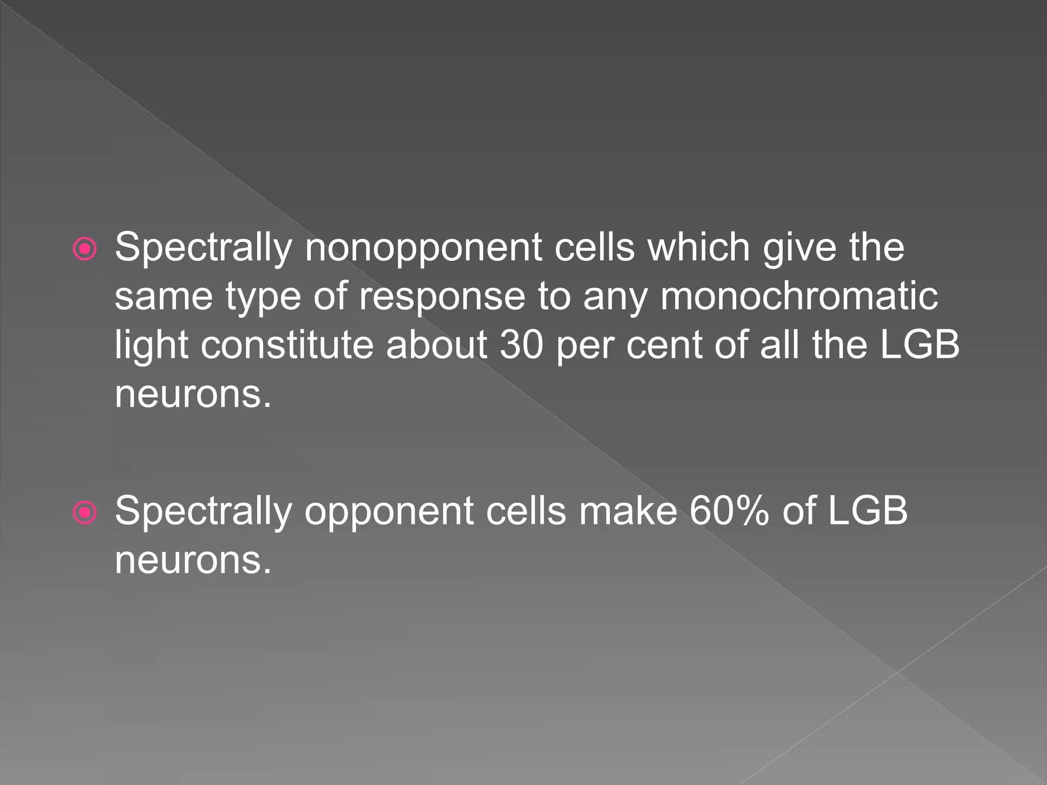  Spectrally nonopponent cells which give the
same type of response to any monochromatic
light constitute about 30 per cent of all the LGB
neurons.
 Spectrally opponent cells make 60% of LGB
neurons.
 