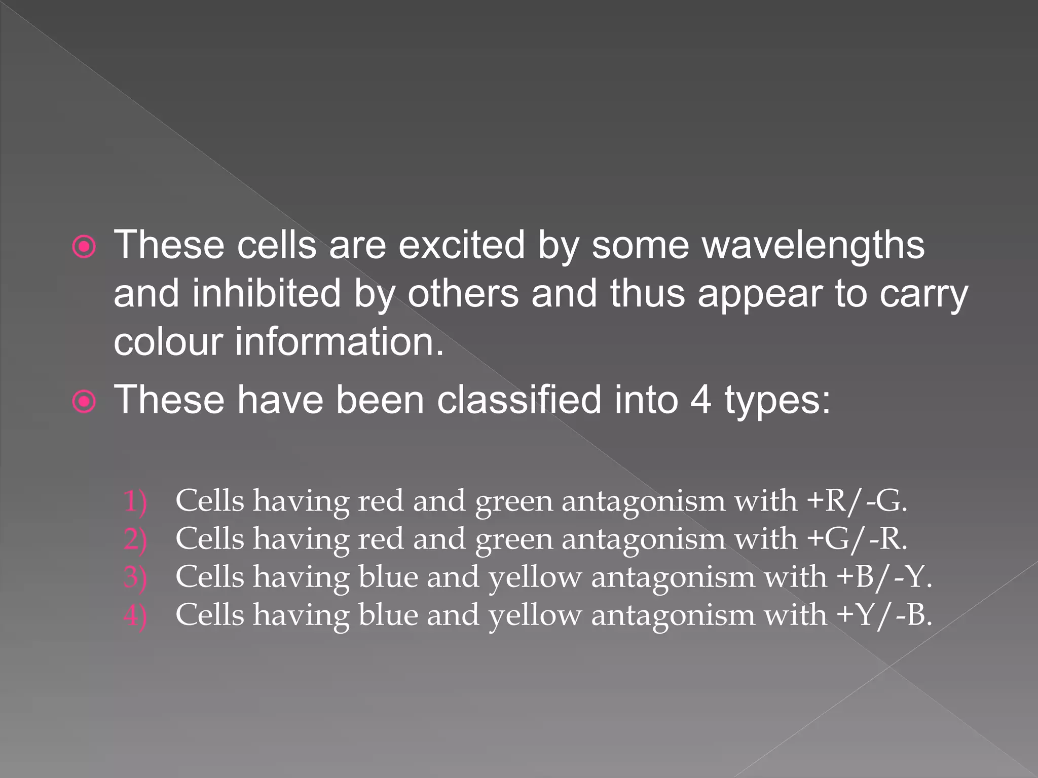  These cells are excited by some wavelengths
and inhibited by others and thus appear to carry
colour information.
 These have been classified into 4 types:
1) Cells having red and green antagonism with +R/-G.
2) Cells having red and green antagonism with +G/-R.
3) Cells having blue and yellow antagonism with +B/-Y.
4) Cells having blue and yellow antagonism with +Y/-B.
 
