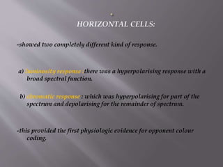 Colour vision | PPTX