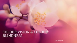 COLOUR VISION & COLOUR
BLINDNESS
- AKSHAY.B.K.
 