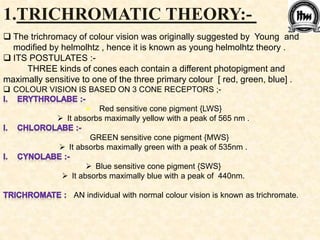Colour vision &and literature | PPTX