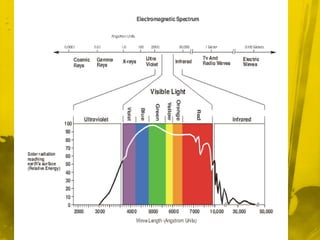 Colour vision | PPT